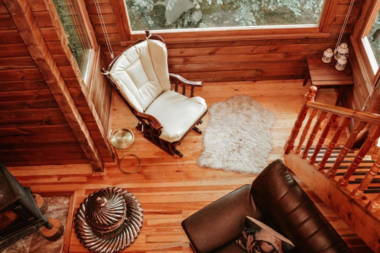 Abant Korudam Bungalov Butik Otel Eksteriør billede