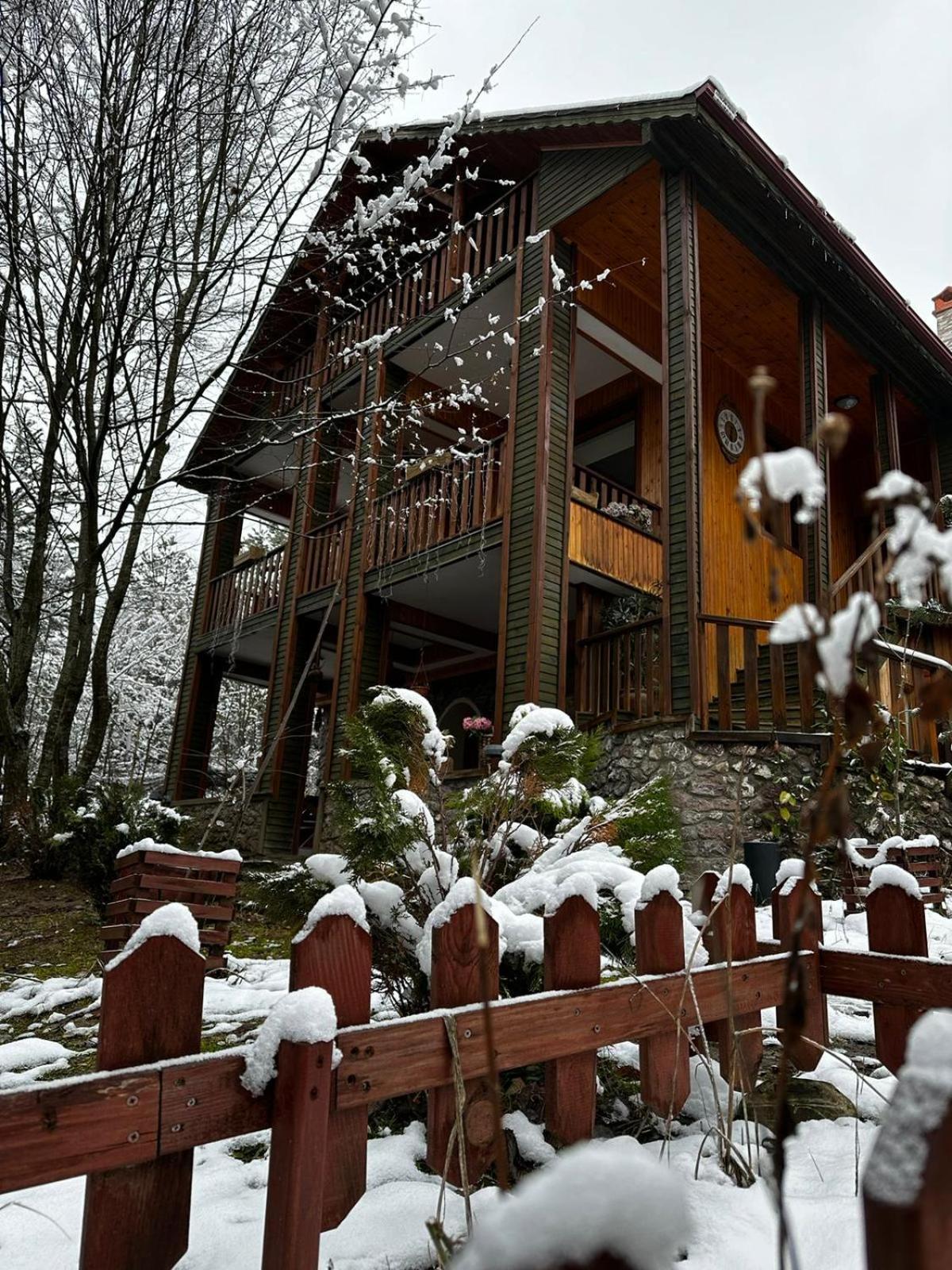 Abant Korudam Bungalov Butik Otel Eksteriør billede